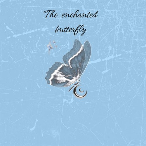 The-enchanted-butterfly